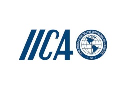 LOGO_icca